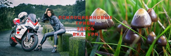 трава Верхний Тагил