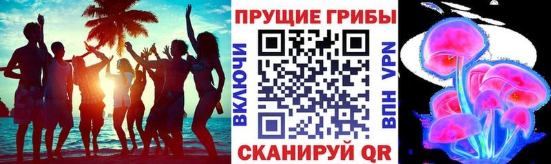 Купить  Лесосибирск  Галлюциногенные грибы MAGIC MUSHROOMS 